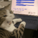 emoji_84 Emote