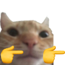 catfingerguns Emote