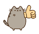 229086pusheenthumbsup Emote