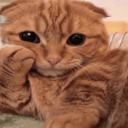 Screenshot20260327233134 Emote