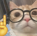 ce_ackshually emote