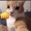emoji_13 Emote