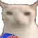 catchips emote