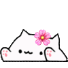 mochicat Emote