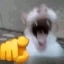 emoji_109 emote