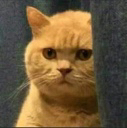 __ emote