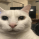 9455racist emote