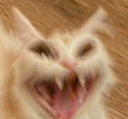 HAHAHAHA emote
