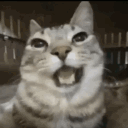 f1ti emote