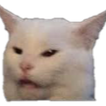 pbcatmeme Emote