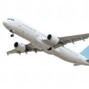 Plane Emote