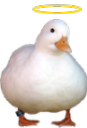 HolyDuck emote
