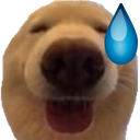 a_doggyuhm emote