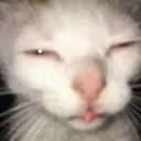 broijustwokeup emote