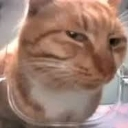 suscat Emote