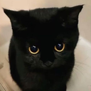 PleadingKitty emote