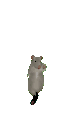 Ratdance emote