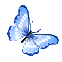 ButterflyDBlue2 emote