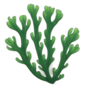 r_kelp Emote