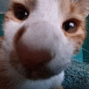 emoji_93 emote