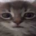 GATOTRAUMA Emote
