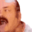 9365risitas emote