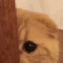 136245sneakycat emote