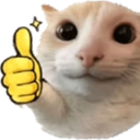 CattoThumbsup emote