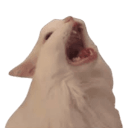 emoji_4 emote