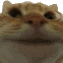emojigg_yes emote