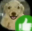approved emote