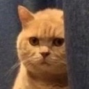 hmm emote