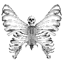 95294skeletonbutterfly emote