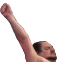 FistPumpTrump emote