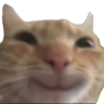39143catsmile emote