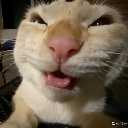 emoji_7 Emote