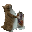 CatMilk emote