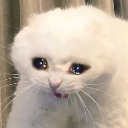 emoji_35 emote
