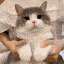 Xieron_stolen_emoji_1773895142 emote