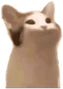 Pop_cat emote
