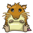 StupidRaticate Emote