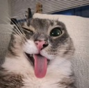 emoji_98 Emote