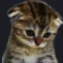 catsad Emote