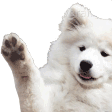 Wave Emote