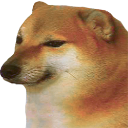 __ emote
