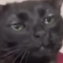 uhhuh emote