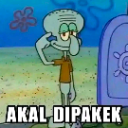 Akaldipake emote