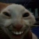 emoji_198 Emote