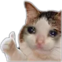 FR_cryingbutalr emote