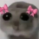 pookie Emote